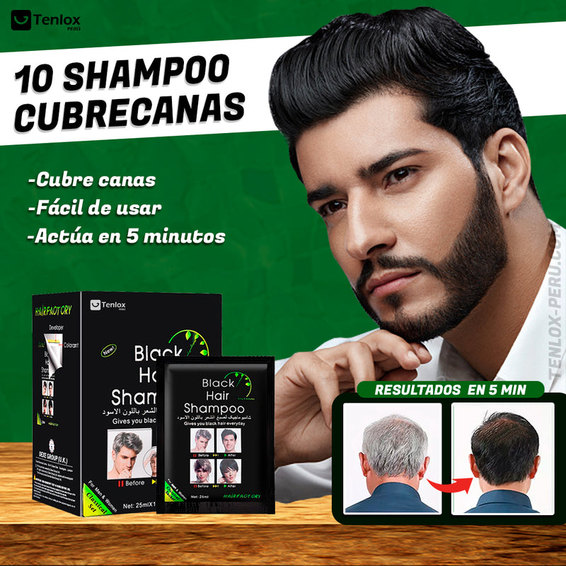 KIT SHAMPOO MÁGICO - CUBRE CANAS EDICION (PACK 10 UND)